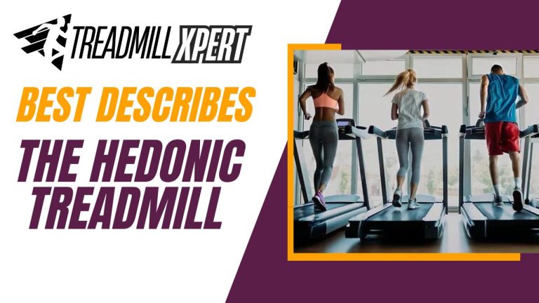 Best Describes The Hedonic Treadmill