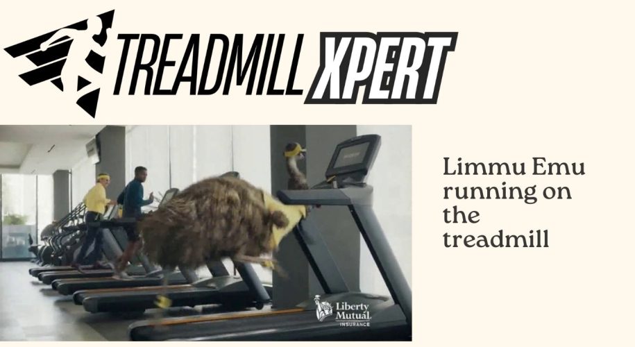 Is Limmu Emu Running On The Treadmill?