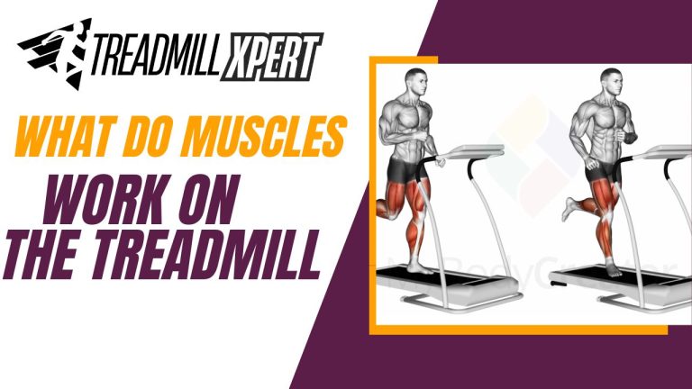 What do Muscles Work on the Treadmill?