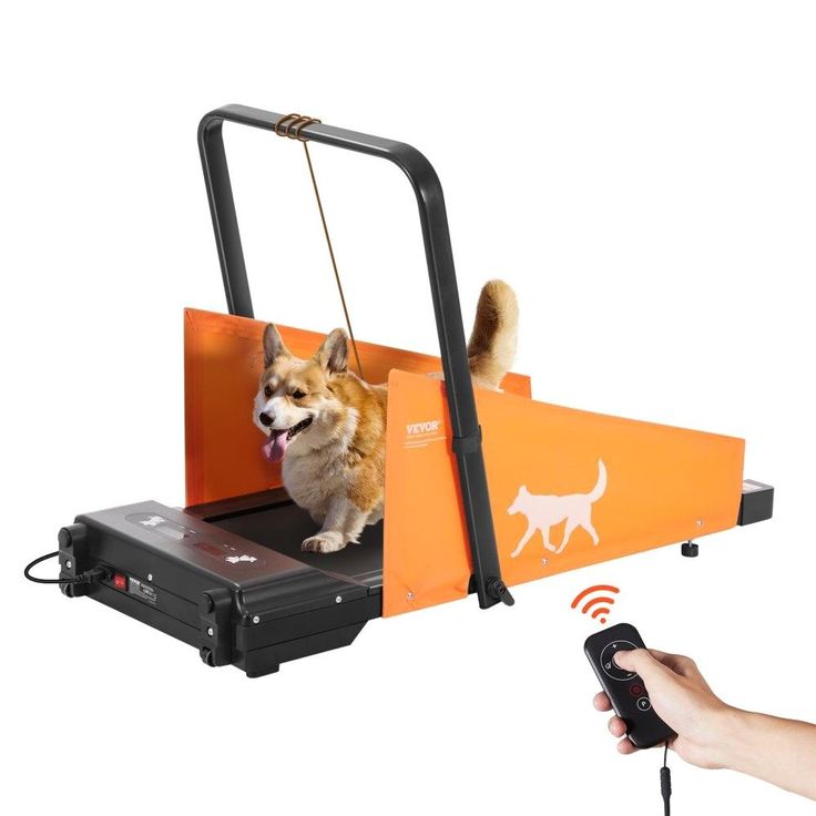dog treadmill