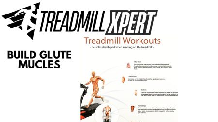 Perfect Exercise(build glute muscles)