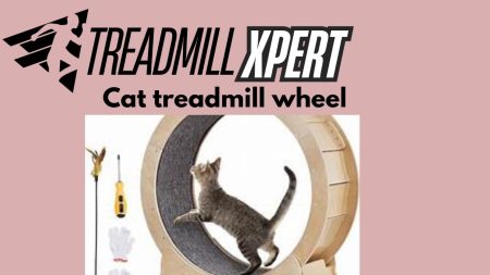 Best cat treadmill wheel 2025