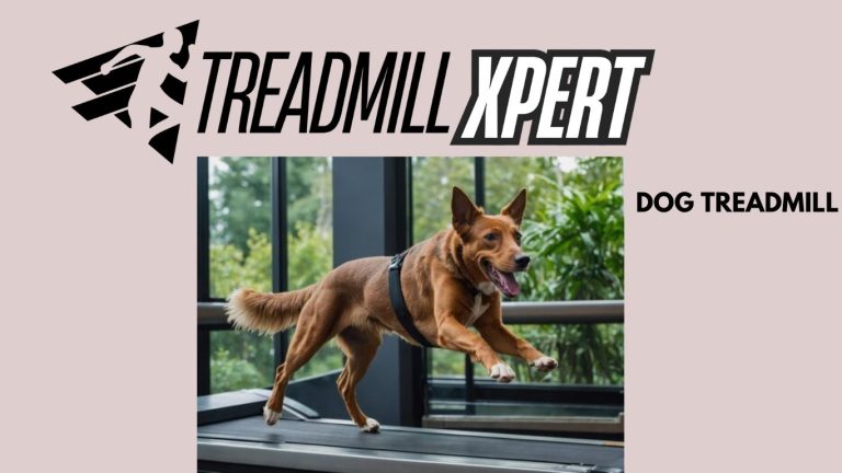 how to build a dog treadmill at home