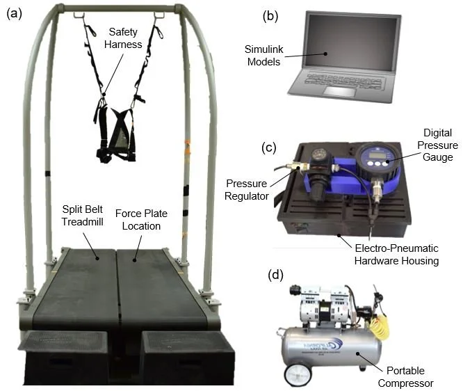 Treadmill pace accuracy