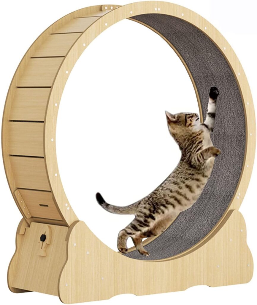 Best cat treadmill wheel 2026